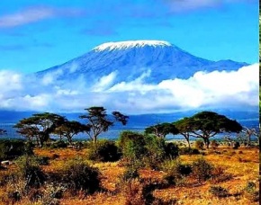 KILIMANJARO COTTAGES AMBOSELI